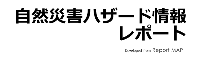 Hazard Map Report Service